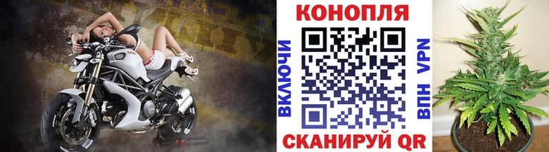 Канабис MAZAR  Туран 